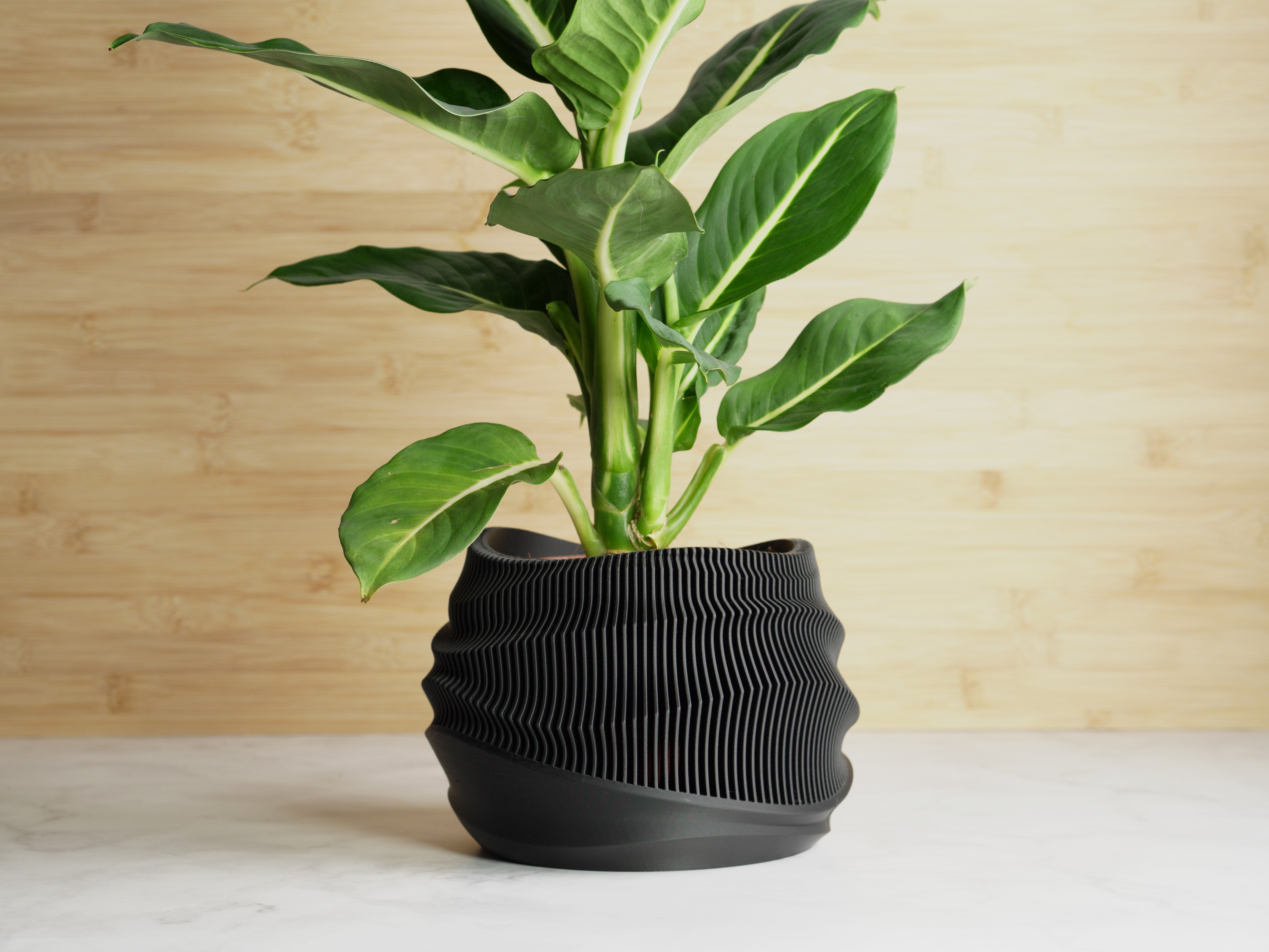 Planter Pot Curvy