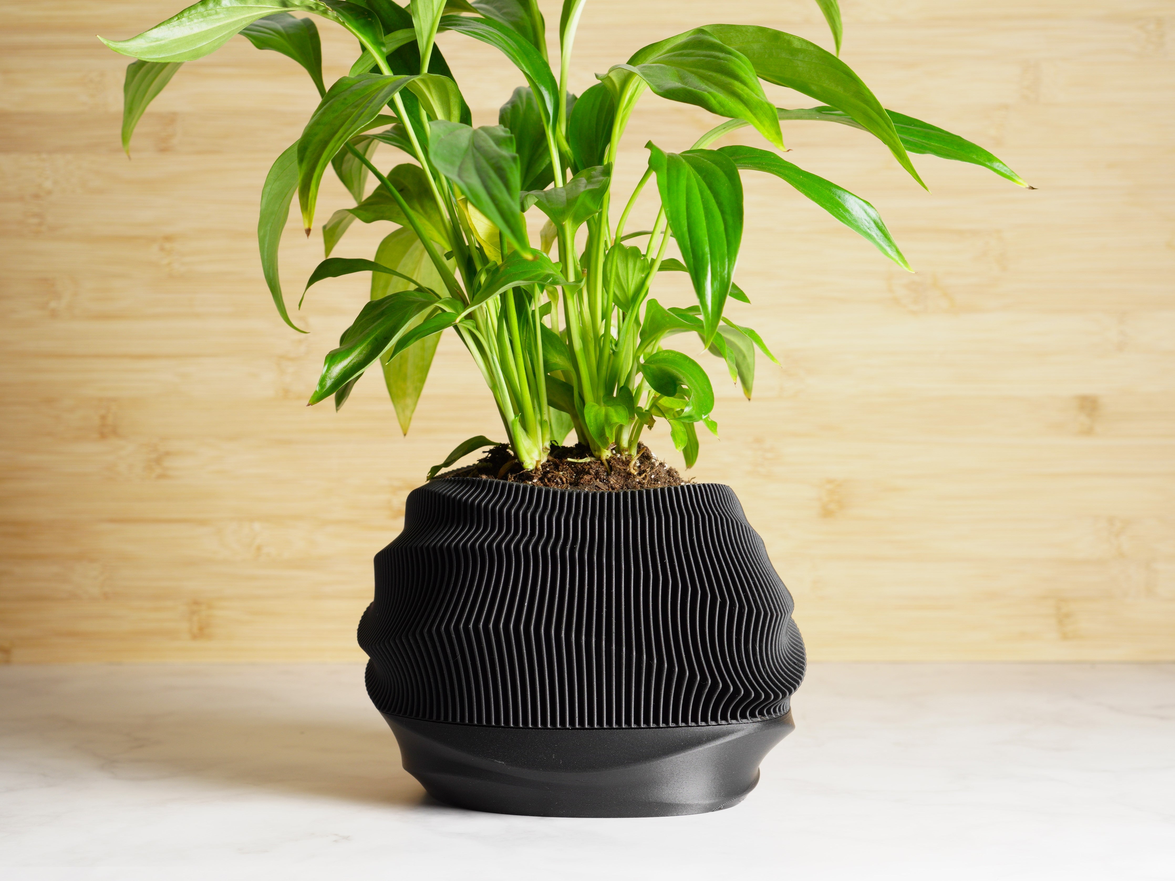 Self-watering Planter Pot Curvy