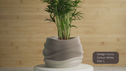 Planter Pot Curvy